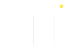 BINI Logo